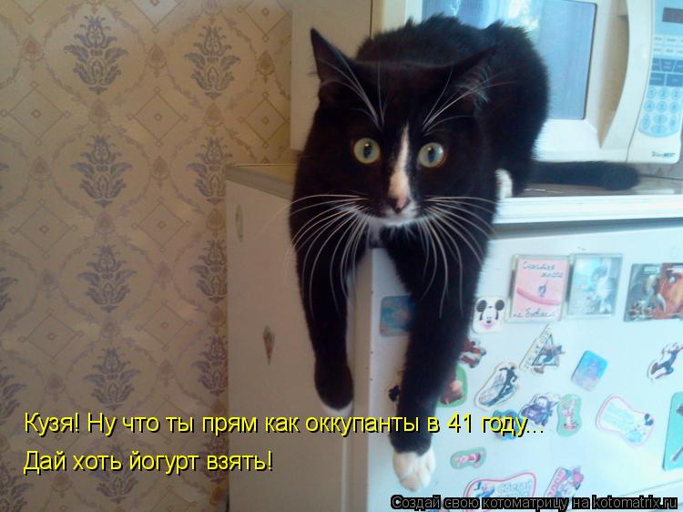 Котоматрица: Кузя! Ну что ты прям как оккупанты в 41 году... Дай хоть йогурт взять!