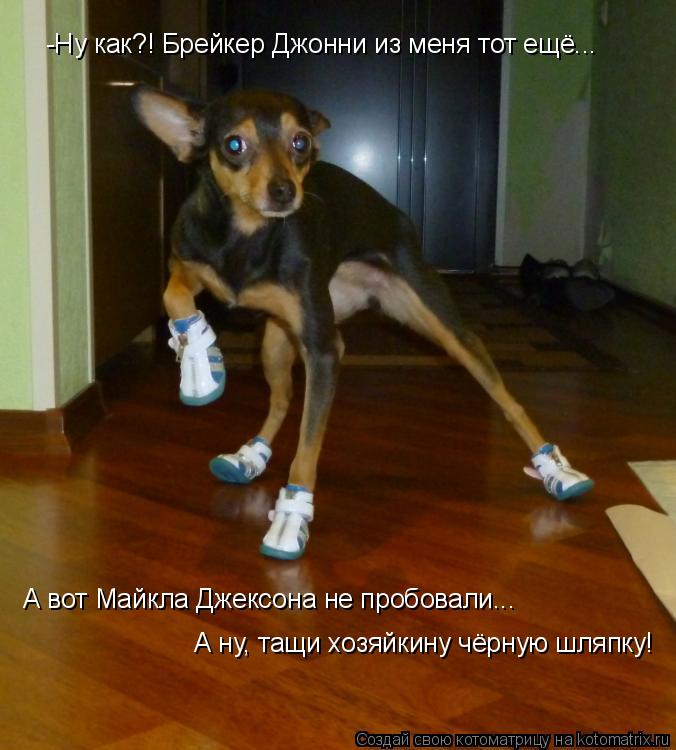 Котоматрица: -Ну как?! Брейкер Джонни из меня тот ещё... А вот Майкла Джексона не пробовали...  А ну, тащи хозяйкину чёрную шляпку!
