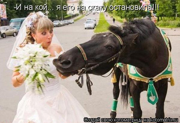 Котоматрица: -И на кой... я его на скаку остановила!!!