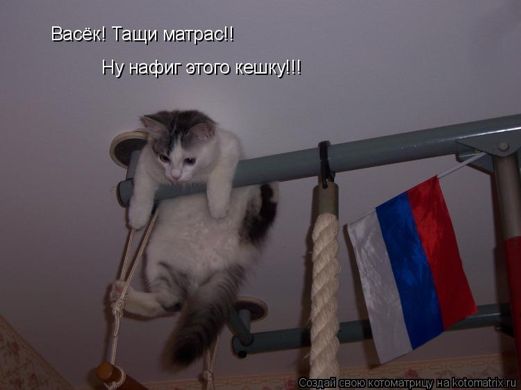 Котоматрица: Васёк! Тащи матрас!! Ну нафиг этого кешку!!!