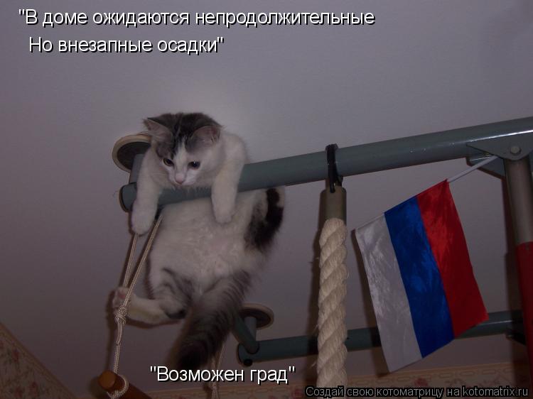 Котоматрица: "В доме ожидаются непродолжительные  Но внезапные осадки" "Возможен град"