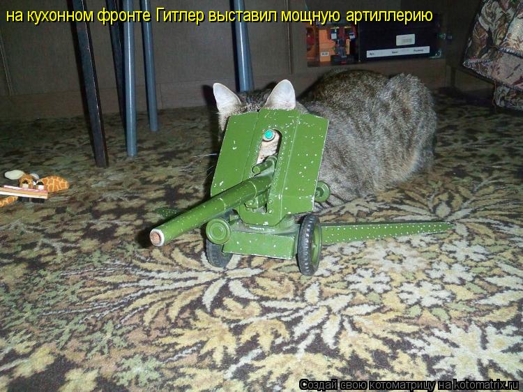 Котоматрица: на кухонном фронте Гитлер выставил мощную  артиллерию