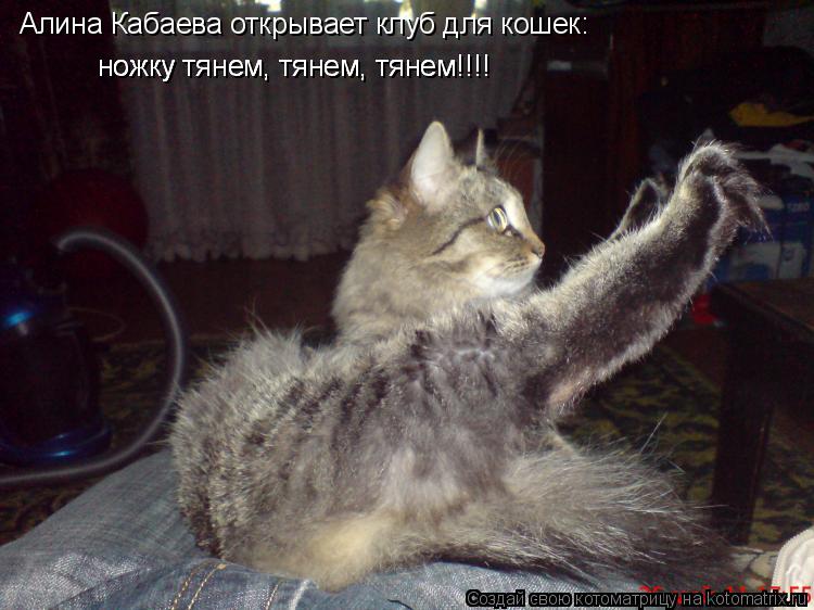 Котоматрица: Алина Кабаева открывает клуб для кошек: ножку тянем, тянем, тянем!!!! ножку тянем, тянем, тянем!!!! ножку тянем, тянем, тянем!!!!