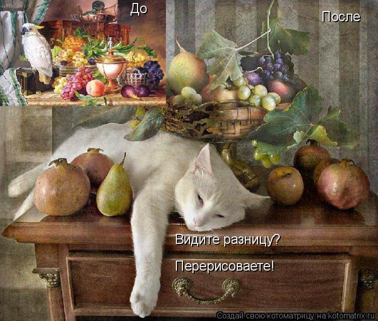 Котоматрица: До После Видите разницу? Перерисоваете!