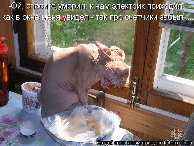 -Ой, спасите,уморил: к нам электрик приходил, как в окне меня увидел - так про счетчики забыл........ Котоматрица: -Ой, спасите,уморил: к нам электрик приходил, как в окне меня увидел - так про счетчики забыл.....