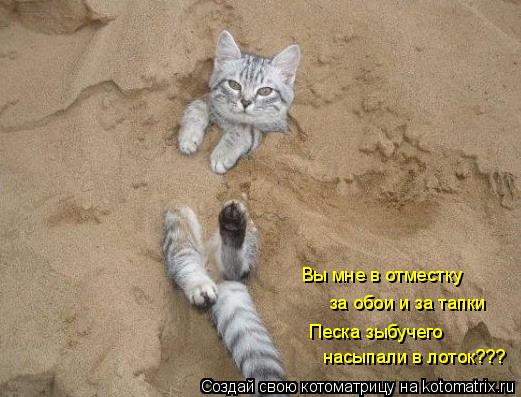 Котоматрица: насыпали в лоток??? Песка зыбучего за обои и за тапки Вы мне в отместку