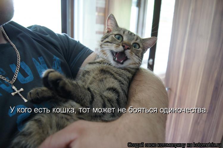 Котоматрица: У кого есть кошка, тот может не бояться одиночества.