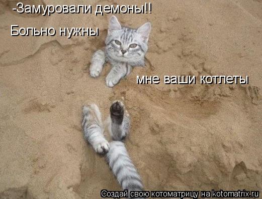 Котоматрица: -Замуровали демоны!! Больно нужны мне ваши котлеты