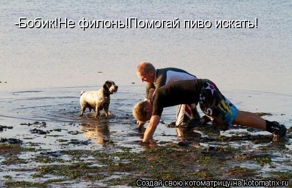 Котоматрица: -Бобик!Не филонь!Помогай пиво искать!