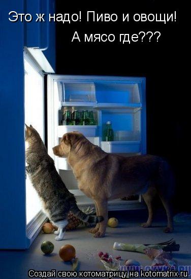 Котоматрица: Это ж надо! Пиво и овощи! А мясо где???