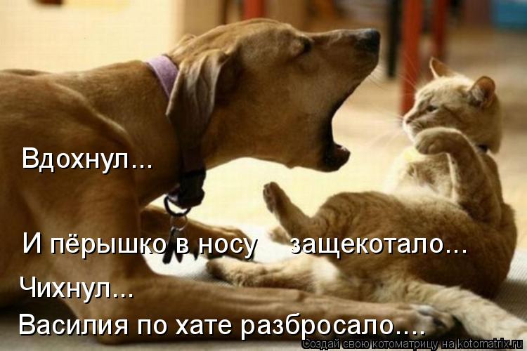 Котоматрица: Вдохнул... И пёрышко в носу    защекотало... Чихнул... Василия по хате разбросало....