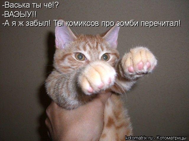 Котоматрица: -Васька ты чё!? -ВАЭЫУ!! -А я ж забыл! Ты комиксов про зомби перечитал!