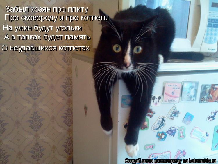 Котоматрица: Забыл хозян про плиту Про сковороду и про котлеты На ужин будут угольки А в тапках будет память О неудавшихся котлетах