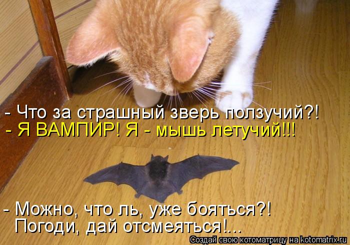 - Что за страшный зверь ползучий?! - Я ВАМПИР! Я - мышь летучий!!! - Можно, что ль, уже бояться?! Пог... Котоматрица: - Что за страшный зверь ползучий?! - Я ВАМПИР! Я - мышь летучий!!! - Можно, что ль, уже бояться?! Погоди, дай отсмеяться!...
