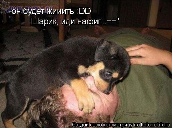 Котоматрица: -он будет жииить :DD -он будет жииить :DD -Шарик, иди нафиг...=="