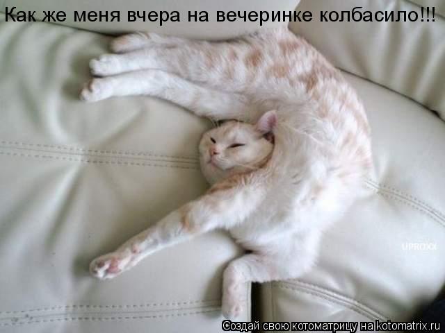 Котоматрица: Как же меня вчера на вечеринке колбасило!!!