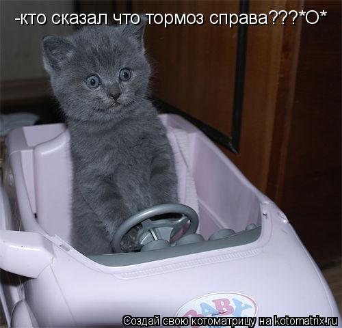 Котоматрица: -кто сказал что тормоз справа???*О*
