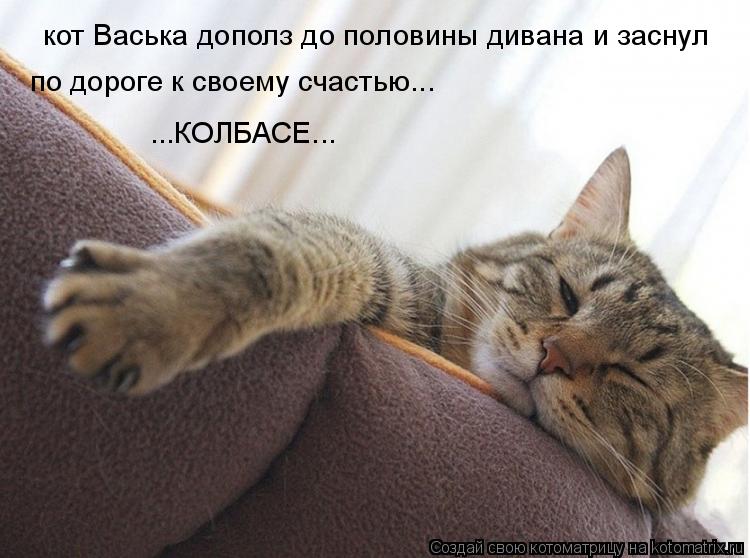 Котоматрица: кот Васька дополз до половины дивана и заснул по дороге к своему счастью... ...КОЛБАСЕ...