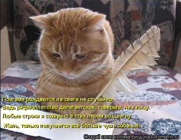 Котоматрица: Поэтами рождаются на свете не случайно. Ведь рифмоплётство дилетантское, поверьте, не к лицу. Любые строки я созвучно в стих пером воздвигн