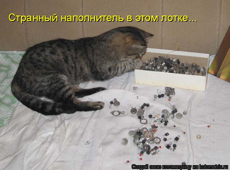 Котоматрица: Странный наполнитель в этом лотке...