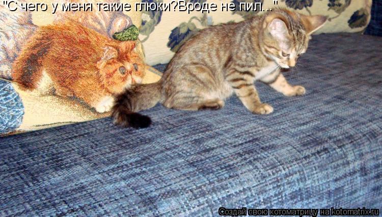 Котоматрица: "С чего у меня такие глюки?Вроде не пил..."
