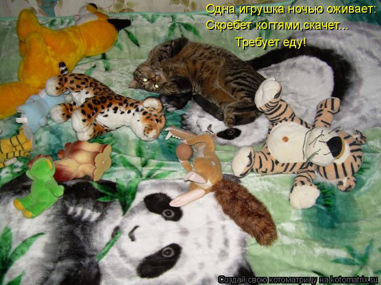 Котоматрица: Одна игрушка ночью оживает: Скребет когтями,скачет... Требует еду!