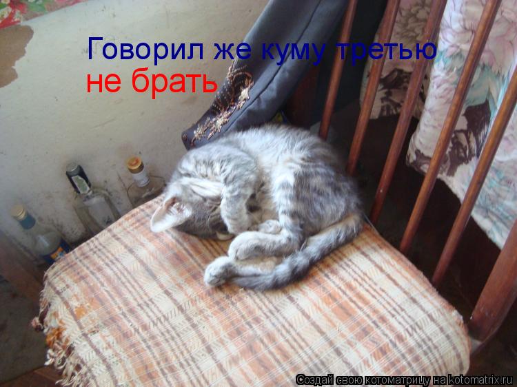 Котоматрица: Говорил же куму третью  не брать