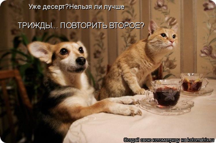 Уже десерт?Нельзя ли лучше ТРИЖДЫ... ПОВТОРИТЬ ВТОРОЕ?... Котоматрица: Уже десерт?Нельзя ли лучше ТРИЖДЫ... ПОВТОРИТЬ ВТОРОЕ?