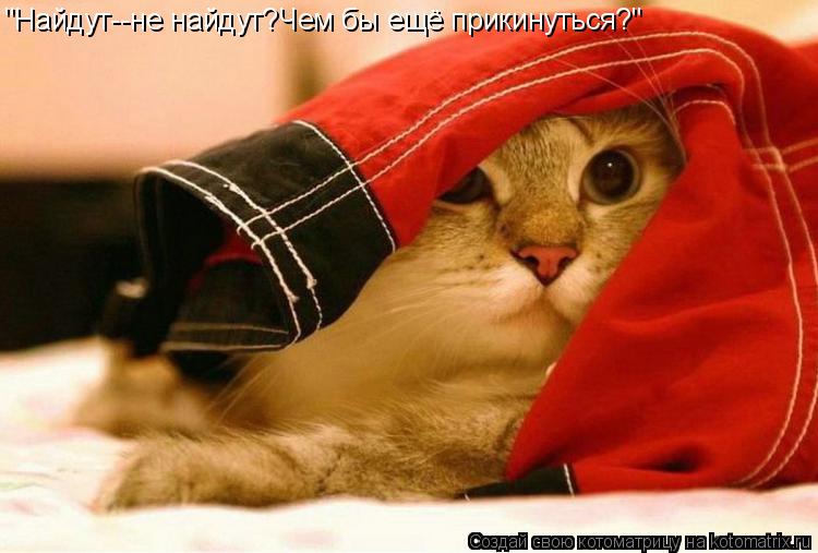 Котоматрица: "Найдут--не найдут?Чем бы ещё прикинуться?"