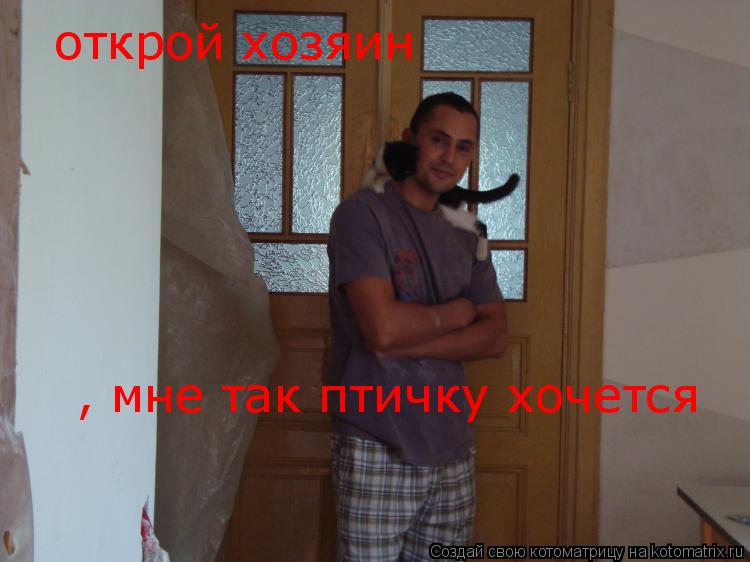Котоматрица: открой хозяин , мне так птичку хочется