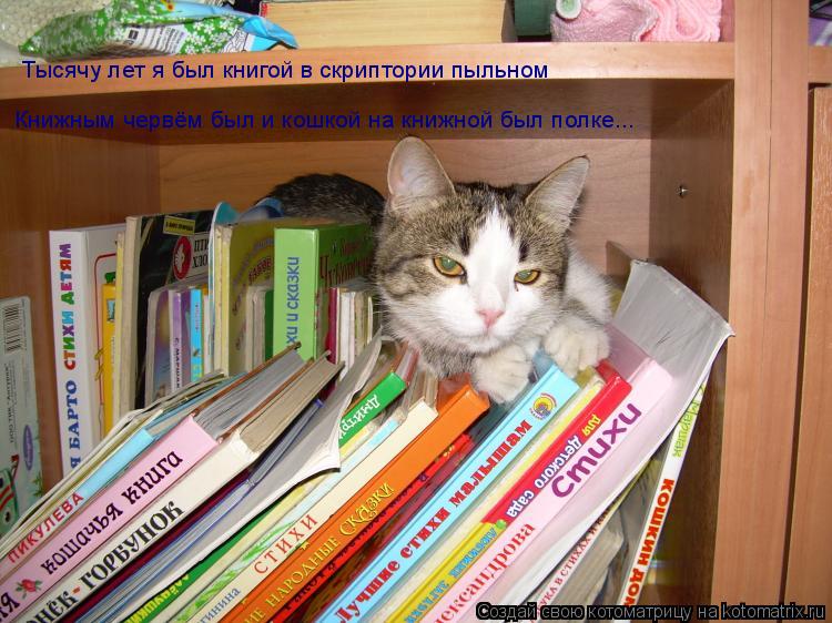 Котоматрица: Тысячу лет я был книгой в скриптории пыльном Книжным червём был и кошкой на книжной был полке...