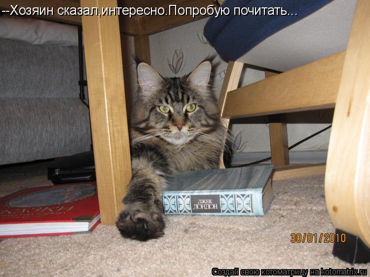 Котоматрица: --Хозяин сказал,интересно.Попробую почитать...