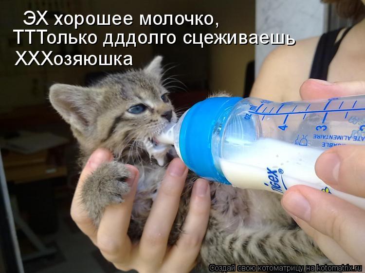 Котоматрица: ЭХ хорошее молочко, ТТТолько дддолго сцеживаеш ХХХозяюшка ь