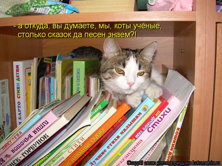 Котоматрица: - а откуда, вы думаете, мы, коты учёные,  столько сказок да песен знаем?!