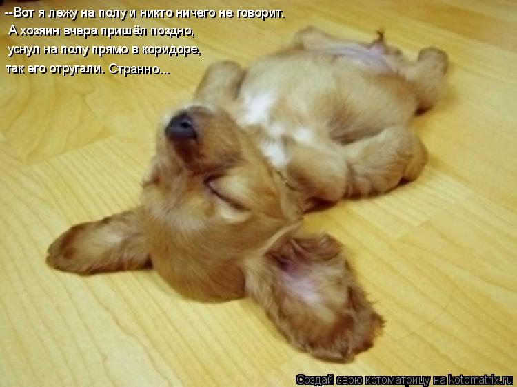 Котоматрица: --Вот я лежу на полу и никто ничего не говорит. А хозяин вчера пришёл поздно, уснул на полу прямо в коридоре, так его отругали. Странно...