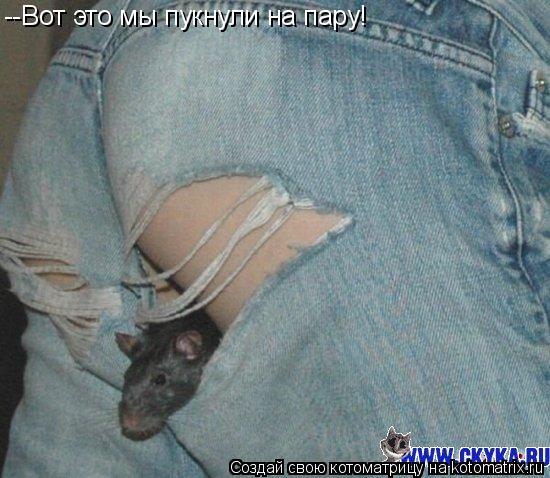 Котоматрица: --Вот это мы пукнули на пару!