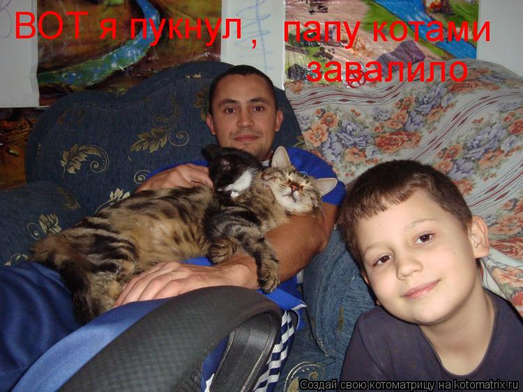 Котоматрица: ВОТ я пукнул папу котами завалило ,