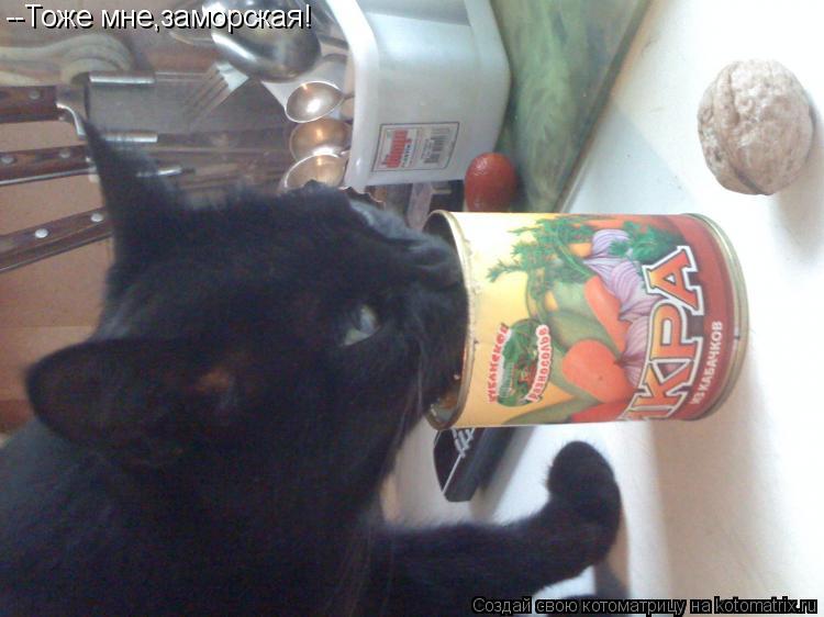 Котоматрица: --Тоже мне,заморская!