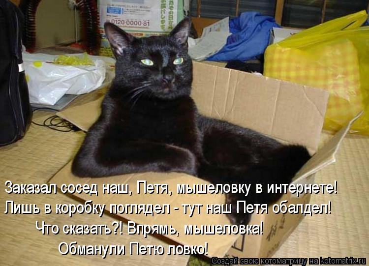 Заказал сосед наш, Петя, мышеловку в интернете! Лишь в коробку поглядел - тут наш Петя обалдел! Что ... Котоматрица: Заказал сосед наш, Петя, мышеловку в интернете! Лишь в коробку поглядел - тут наш Петя обалдел! Что сказать?! Впрямь, мышеловка! Обманули Пет