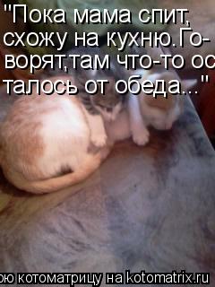 Котоматрица: "Пока мама спит, схожу на кухню.Го- ворят,там что-то ос- талось от обеда..."