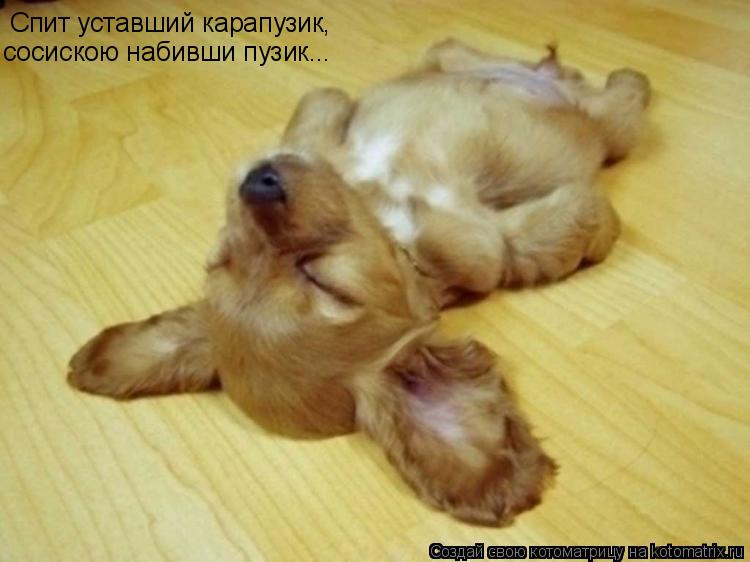 Котоматрица: Спит уставший карапузик,  сосискою набивши пузик...