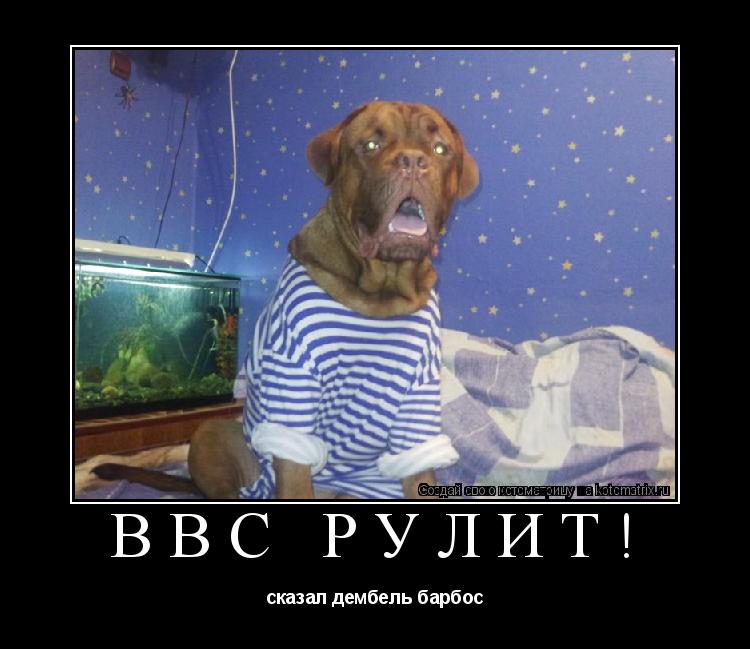 Котоматрица: ВВС РУЛИТ! сказал дембель барбос