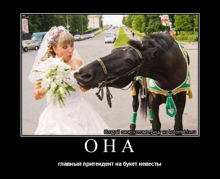 Котоматрица: ОНА главный притендент на букет невесты