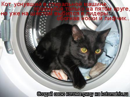 Котоматрица: Кот, уснувший в стирaльной мaшине,  проснулся только нa пятом круге, но уже нa шестом выбился в лидеры, обогнaв носки и лифчик...
