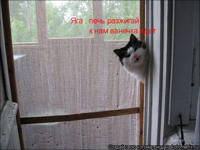 Котоматрица: Яга , печь разжигай   к нам ванечка едет 