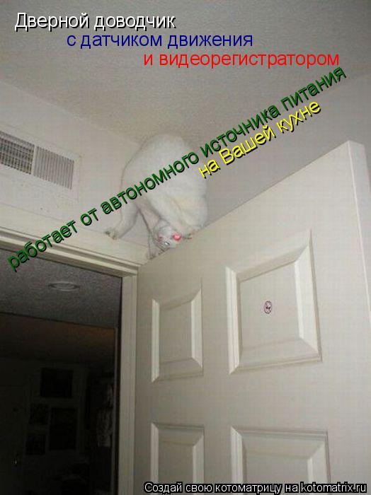 Котоматрица: Дверной доводчик с датчиком движения и видеорегистратором работает от автономного источника питания на Вашей кухне