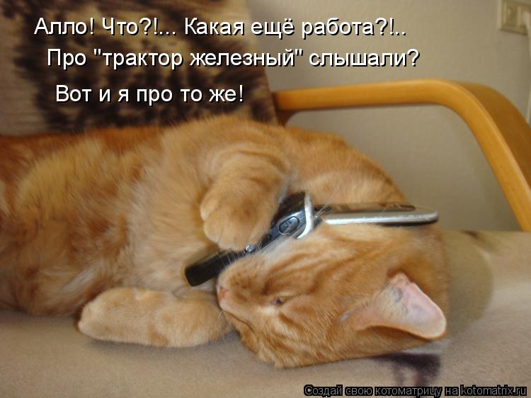 Котоматрица: Алло! Что?!... Какая ещё работа?!.. Про "трактор железный" слышали? Вот и я про то же!