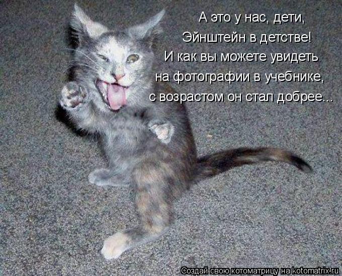 Котоматрица: А это у нас, дети, Эйнштейн в детстве! И как вы можете увидеть на фотографии в учебнике, с возрастом он стал добрее...