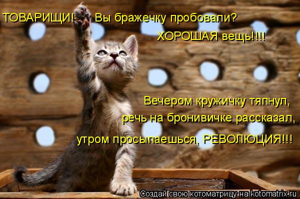 Котоматрица: ТОВАРИЩИ!      Вы бражечку пробовали? ХОРОШАЯ вещь!!!! речь на бронивичке рассказал, Вечером кружичку тяпнул, утром просыпаешься, РЕВОЛЮЦИЯ!!!