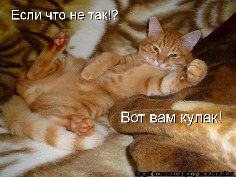Котоматрица: Если что не так!? Вот вам кулак!